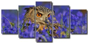 Owl Bird Art 5 Panels Paint By Numbers