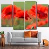 Papaveri Flowers Nature 4 Panels Paint By Numbers