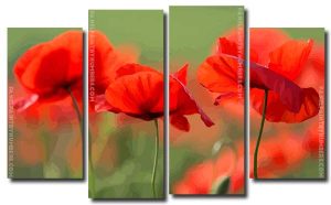 Papaveri Flowers Nature 4 Panels Paint By Numbers