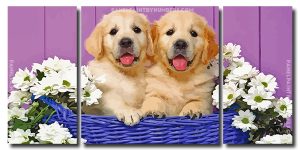 Puppies In Basket 3 Panels Paint By Numbers