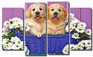 Puppies In Basket 4 Panels Paint By Numbers