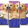 Puppies In Basket 5 Panels Paint By Numbers