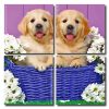 Puppies In Basket Square Panels Paint By Numbers