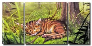 Sleepy Wild Cat 3 Panels Paint By Numbers