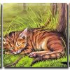 Sleepy Wild Cat 3 Panels Paint By Numbers