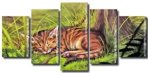 Sleepy Wild Cat 5 Panels Paint By Numbers