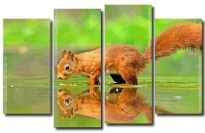 Squirrel Animal Reflection 4 Panels Paint By Numbers