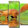 Squirrel Animal Reflection 5 Panels Paint By Numbers