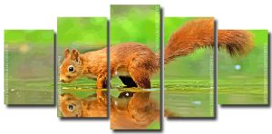 Squirrel Animal Reflection 5 Panels Paint By Numbers