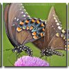 Swallowtail Butterflies 3 Panels Paint By Numbers