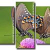 Swallowtail Butterflies 5 Panels Paint By Numbers