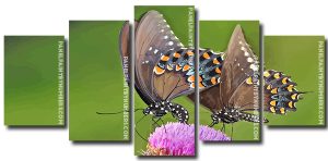 Swallowtail Butterflies 5 Panels Paint By Numbers