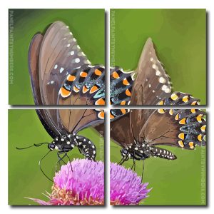 Swallowtail Butterflies Square Panels Paint By Numbers