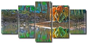 Tiger Reflection 5 Panels Paint By Numbers