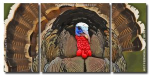 Turkey Bird 3 Panels Paint By Numbers