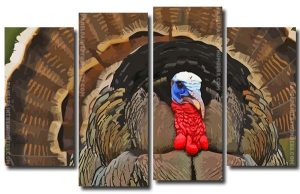 Turkey Bird 4 Panels Paint By Numbers