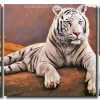 White Tiger 3 Panels Paint By Numbers